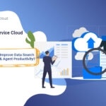 Salesforce Service Cloud Data Archive: How to Improve Data Search Quality & Agent Productivity?